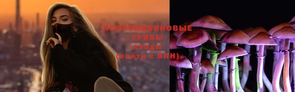 метадон Приозерск