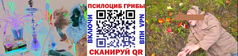 Купить  Нижневартовск  Псилоцибиновые грибы мицелий 
